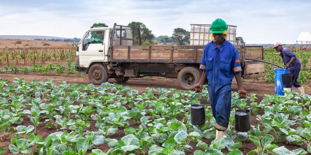 angola iş fırsatları angola iş fırsatları